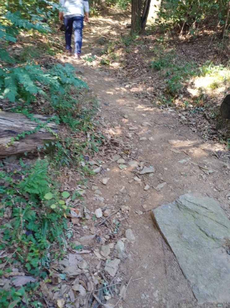  서울 관악구 관악산둘레길을 따라 삼성산거쳐 호암산까지 산행입니다.