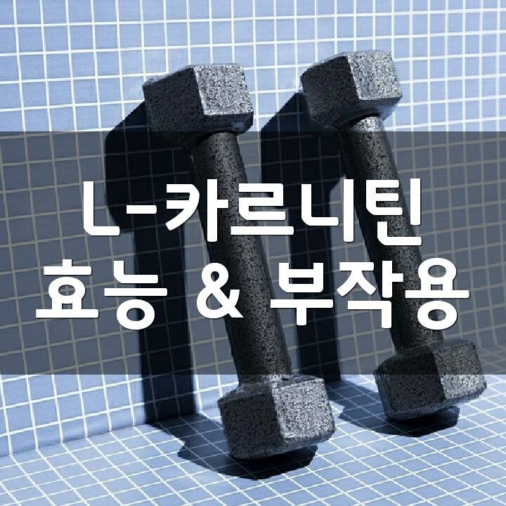 L카르니틴의 효과와 효능, 부작용에 대해 알아보겠습니다. 14