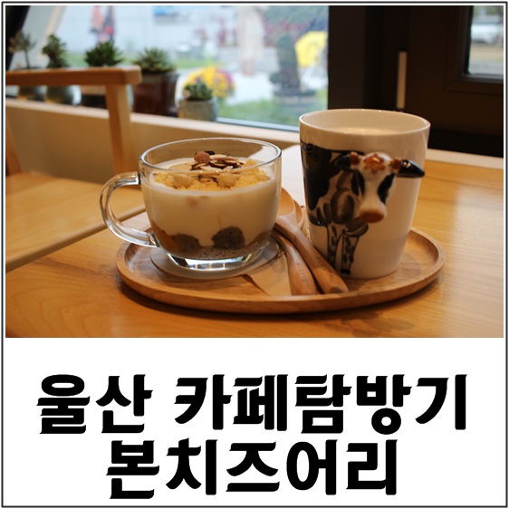  아가랑 함께 가기 좋은 본치즈어리, 슈퍼맨이돌아왔다 건나블리도 치즈사러 갔다왔지롱 