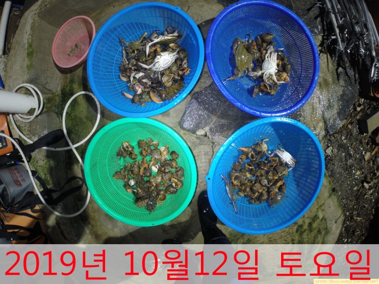  가을 안면도 해루질 - 2019년 10월12일 토요일