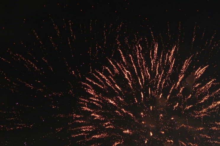 한화와 함께하는 서울세계불꽃축제 2019 내년도 기대된다