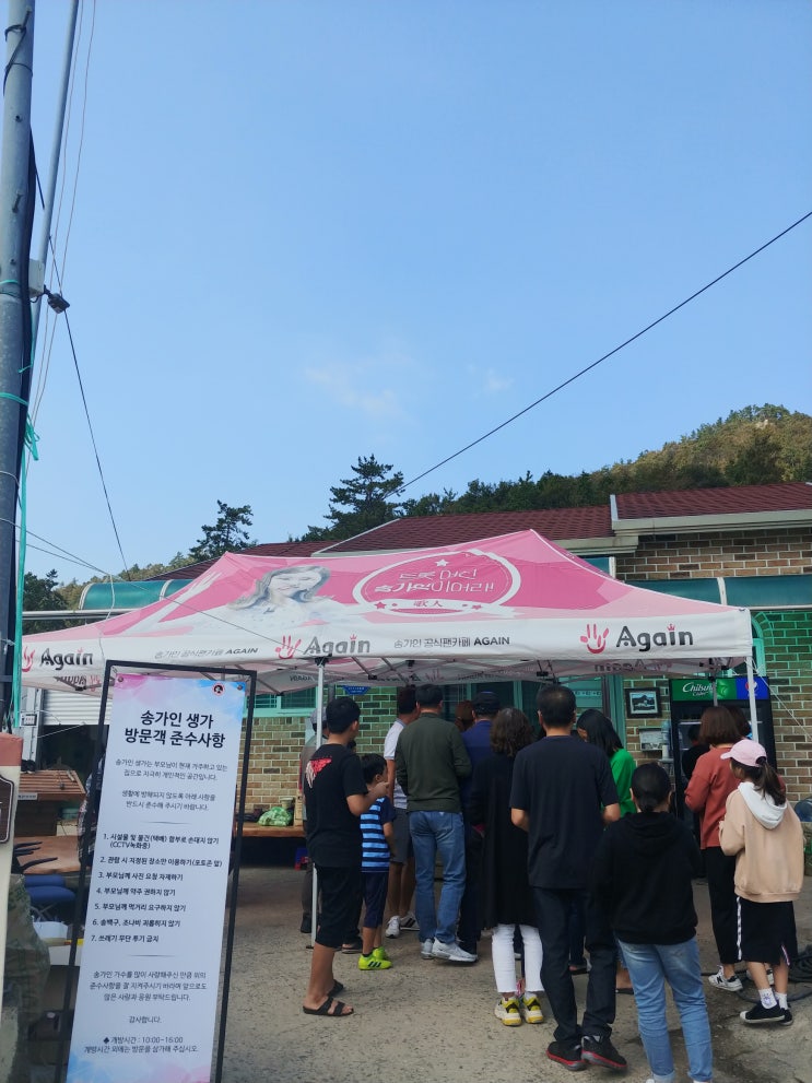  진도가볼만한곳#진도팸투어#미스트롯#송가인
