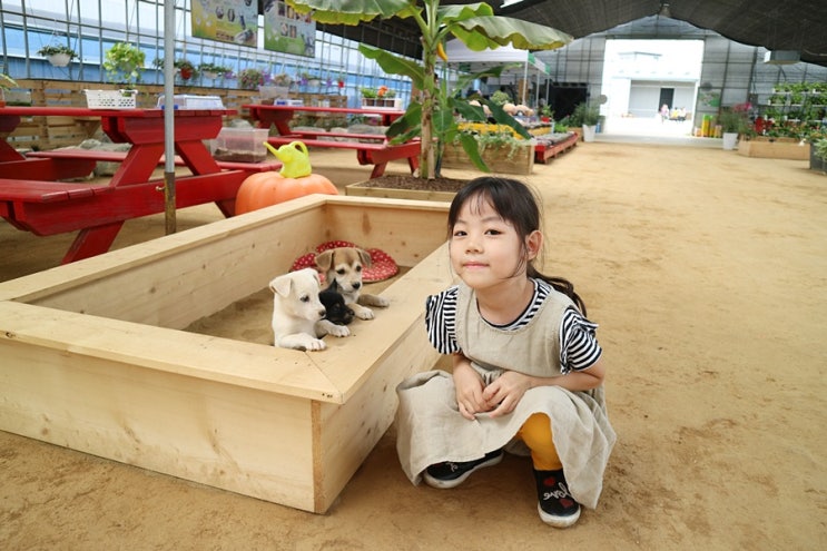  경기도 여행 가볼만한곳, 평택 초록미소마을 힐링가든 떠나요~