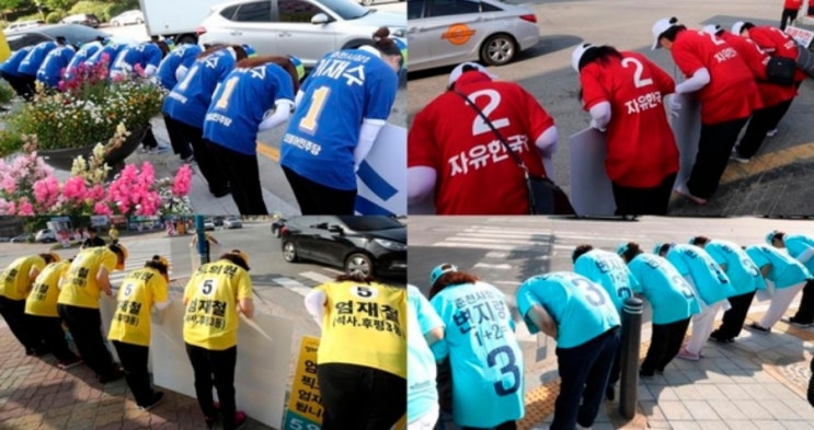  정당 상징색깔