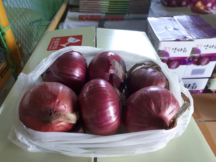  자색양파즙 효능 12가지 소개합니다