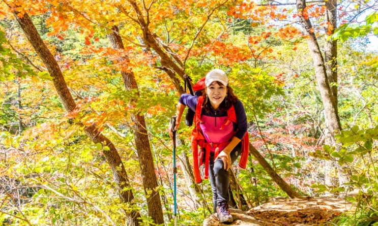  [구미평일산악회  설악산  단풍산행으로 힐링하고 왔어요]