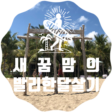  [아이랑 발리한달살기 시리즈] 발리호텔 안바야리조트 이용후기