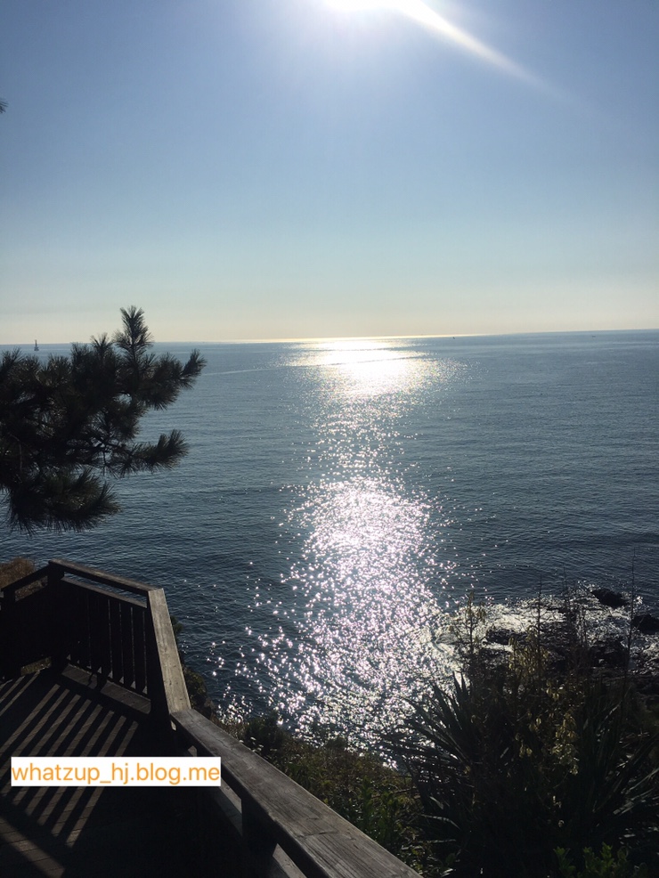  부산여행 2박 3일
