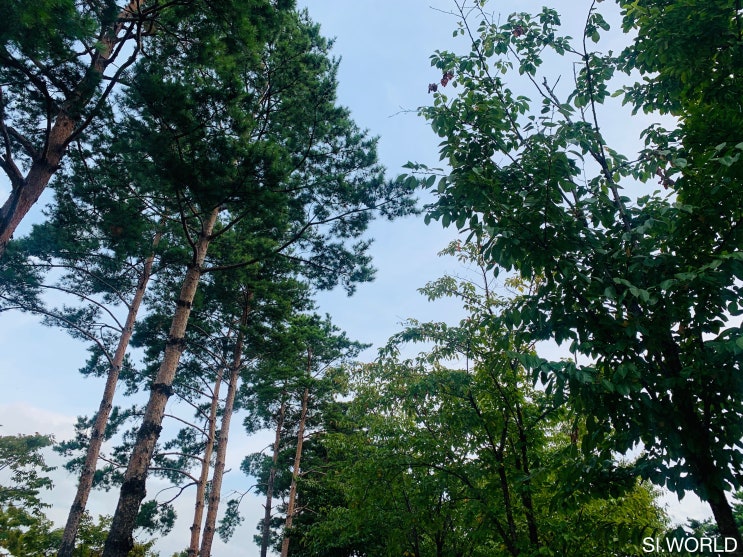  10월 둘째 주.
