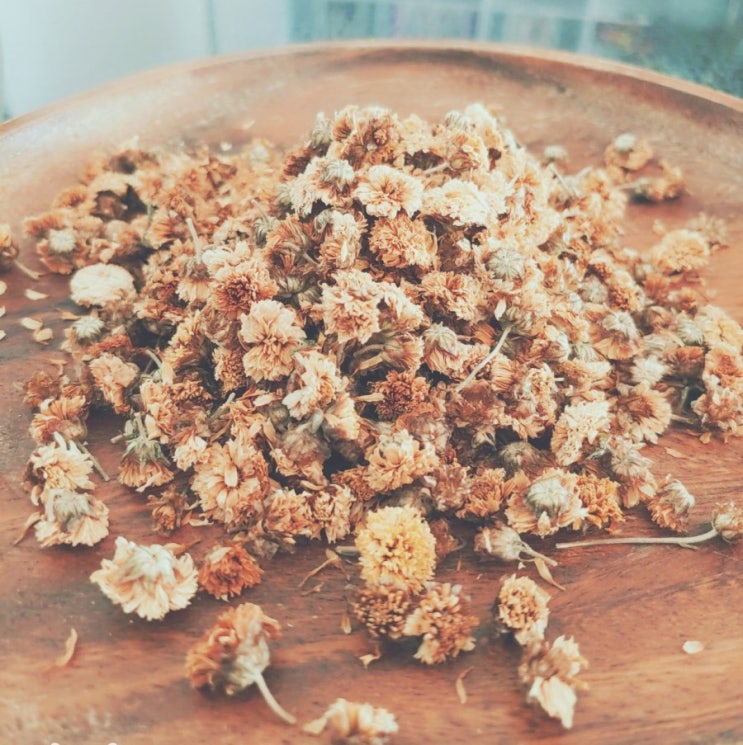  가을엔 국화차 ~ 눈건강, 두통, 감기 예방