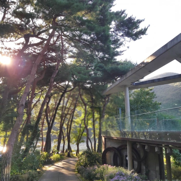  안성 미리내성지 가는 길 로스가든 카페 나들이