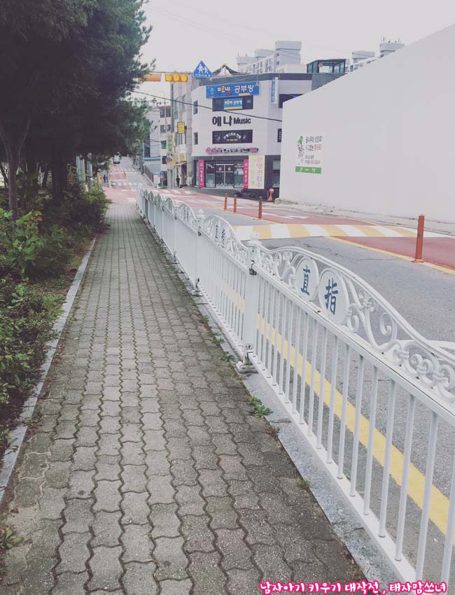  정신없는 한주, 친정동네, 성안길, 어린이서점