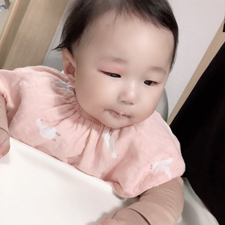  눈에 모기몰려 부음 대환장파티 눈탱이 밤탱이 / 첫 식탁의자 성공!