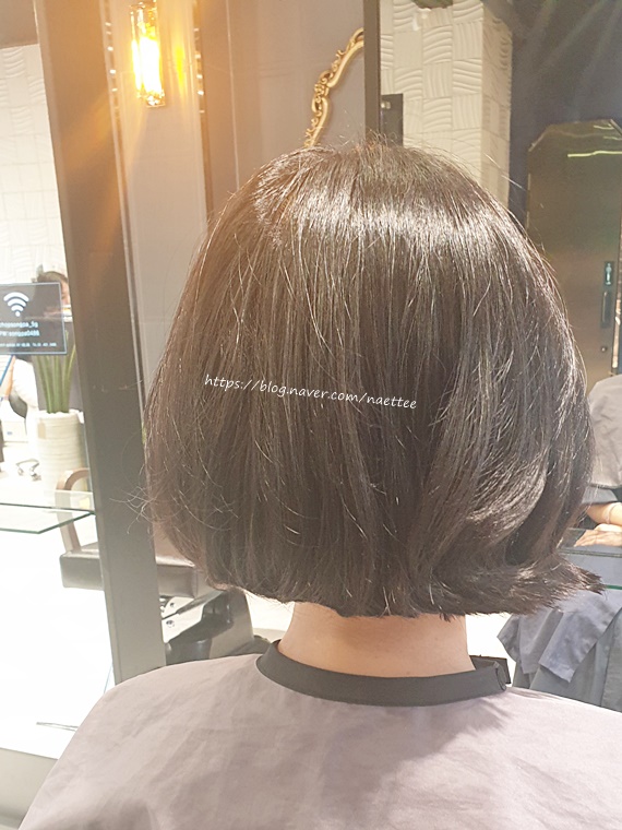  송파미용실 찹헤어에서 기분전환하고 왔어요.