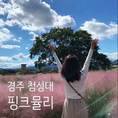  경주 핑크뮬리 명소 첨성대 & 황금정원나들이