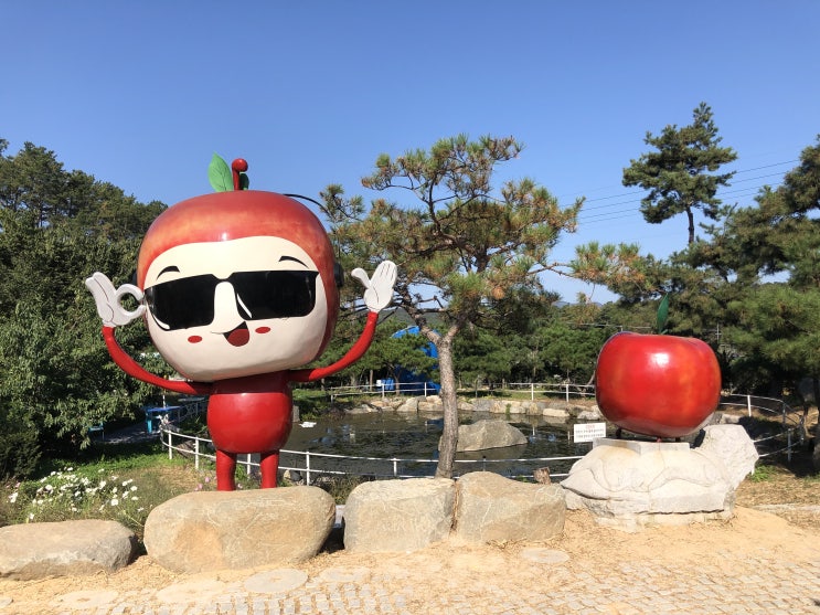  가족나들이 사과따기체험 포천 사과깡패~!