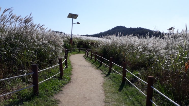  군산의 숨은명소 청암산에 다녀왔어요.