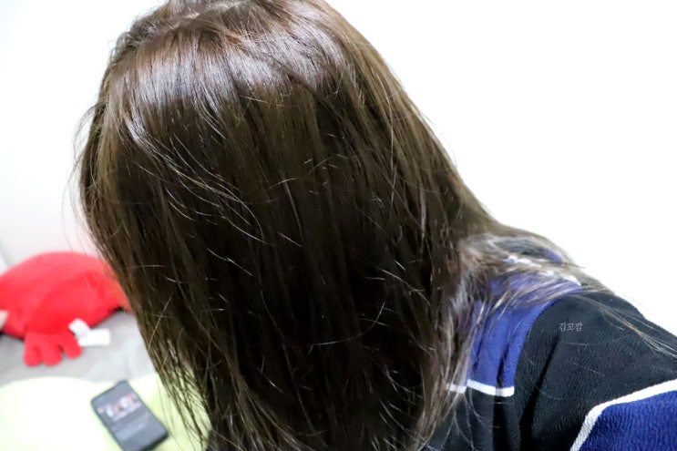  머리빨리기르는법. 패스트샴푸가 있다고?