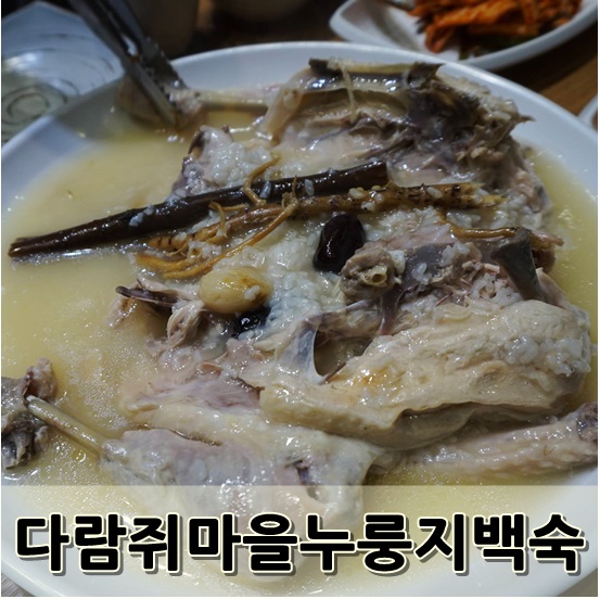 생생정보통 맛집 다람쥐마을 누룽지백숙 일산보양식 짱!