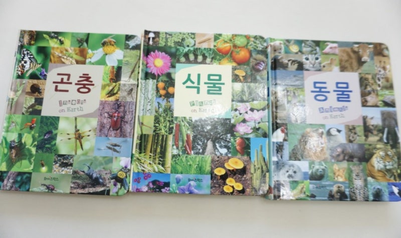 블로그 후기 사진