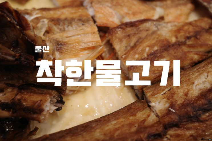  [울산] 태화동 생선구이에 소주 한 잔, 착한 물고기