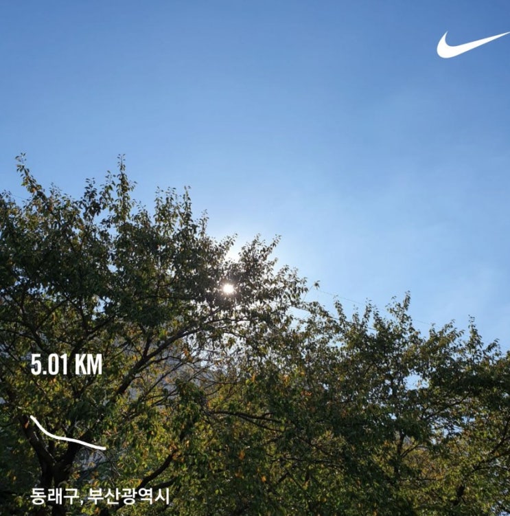  [일상] ㄴr는 7ㅏ끔 달린Cr...