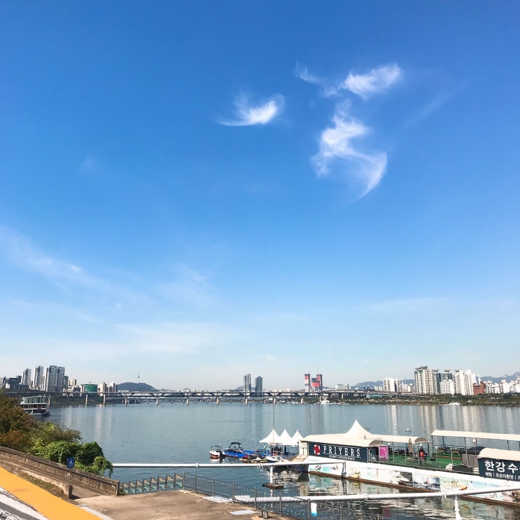  2019년 10월 2주 일상 -