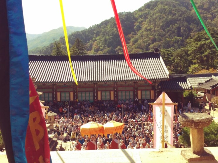  합천 갈만한곳 성철스님해인사 대장경테마파크