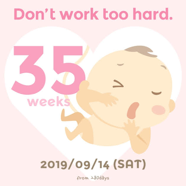 [임신35주-38주] 초산맘의 출산 준비 일기