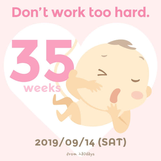  [임신35주-38주] 초산맘의 출산 준비 일기