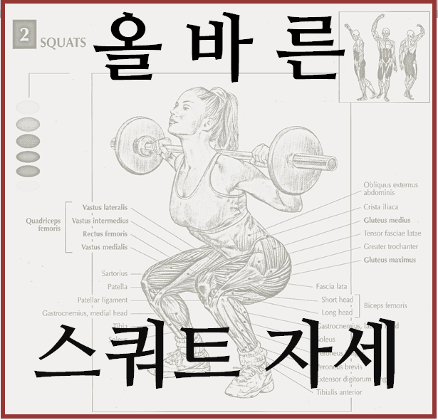  스쿼트 자세 신경쓰면서 3주차 달성!
