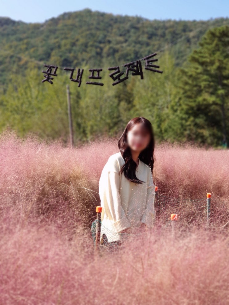  가을 여행 추천 | 고창 당일치기 여행