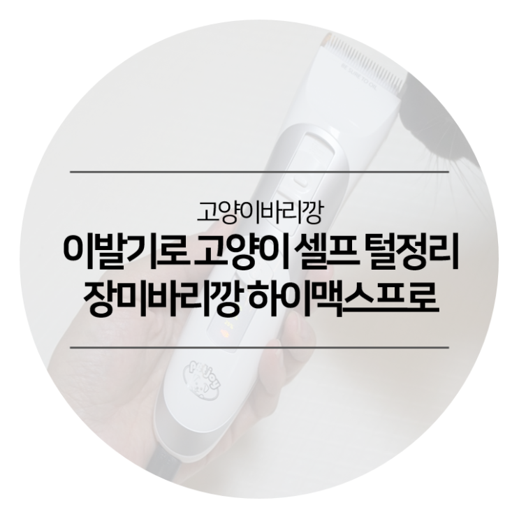  고양이바리깡 - 장미바리깡 하이맥스프로 애완용 이발기로 고양이 셀프 털정리