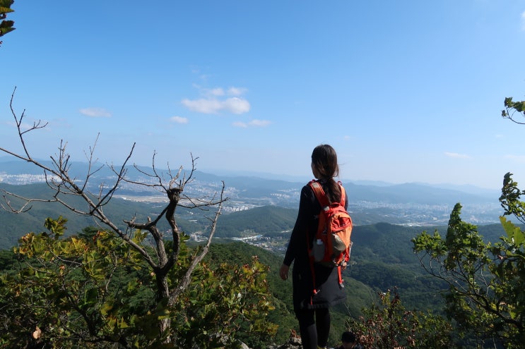  등산 초보의 청계산 산행 (원터골입구~매봉), 한소반, 세컨드클락...(1)