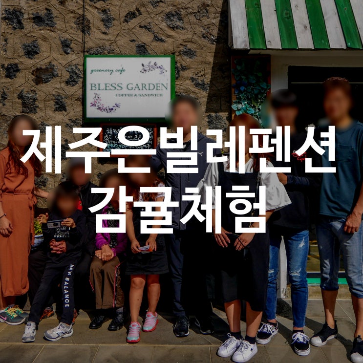  서귀포 은빌레 가족펜션 _ 감귤체험 사진찍기