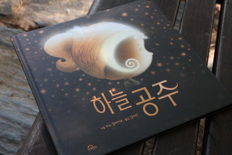 어린이추천도서 상상력을 자극하는 하늘공주