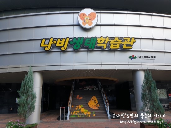  대구 아이들과 가볼만 한곳 나비 생태학습관 ~ 아이들이 좋아해요!