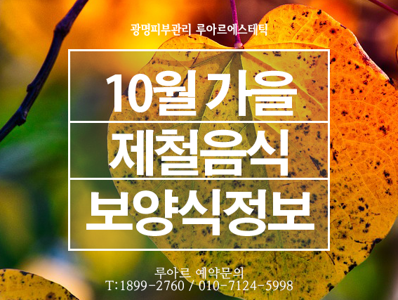  10월 보양식 제철 음식 대하, 꽁치, 늙은 호박