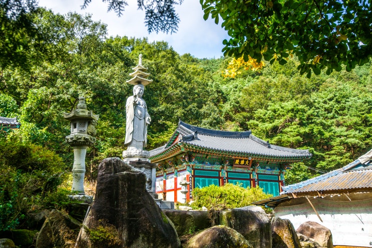  모악산(母岳山) 달성사(達成寺)·금곡사(金谷寺)길을 걷다