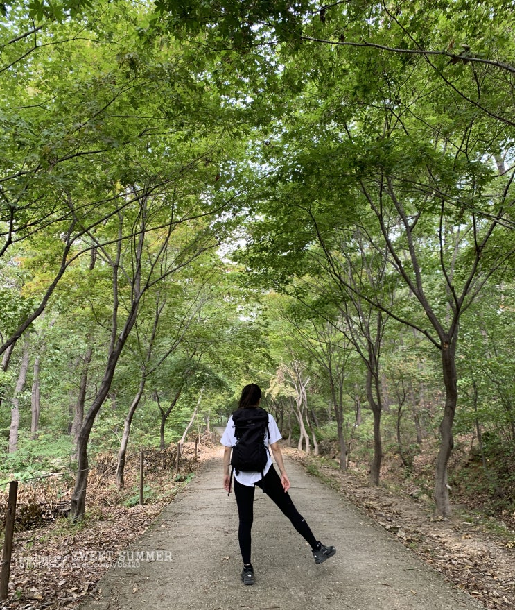  [등산일기] 서울대학교 수목원 :: 관악산 코스 걷기좋은 길 (초보산행)