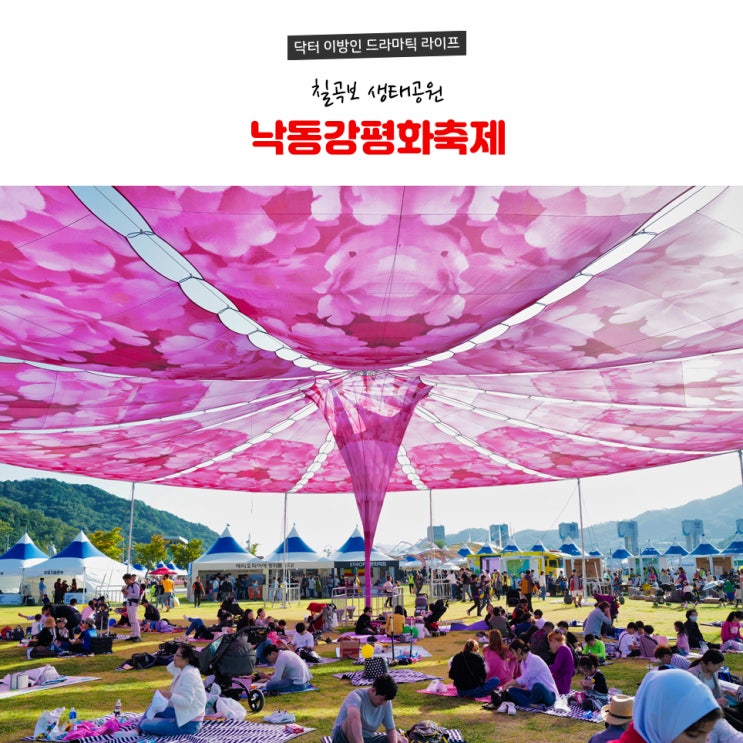  칠곡보생태공원 낙동강세계평화문화대축전 꿀-잼