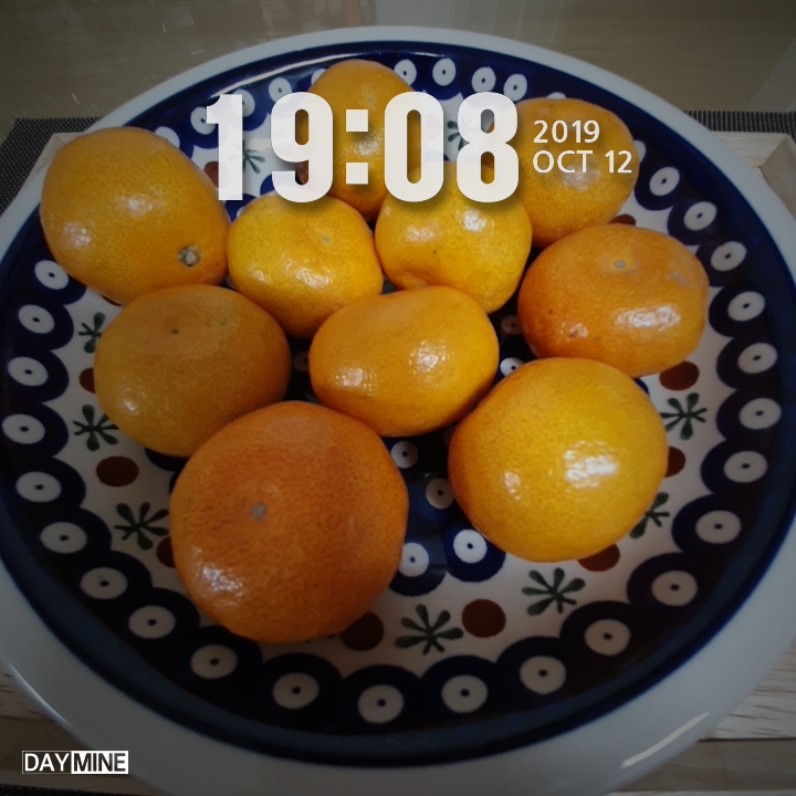 간헐적단식/현미채식/자연식물식(10월12일~13일)