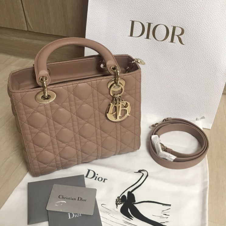  [DIOR] 디올 레이디백️ 미듐사이즈 상세후기.
