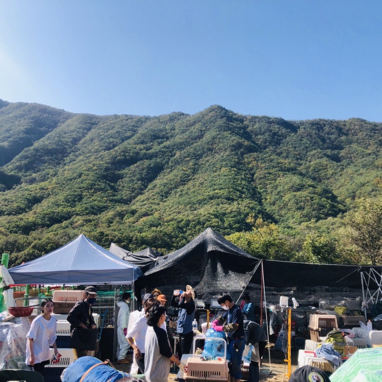  10월, 나에게는 더 애틋한 애린원. 가슴아픈 지난이야기, 기쁜소식을 전합니다