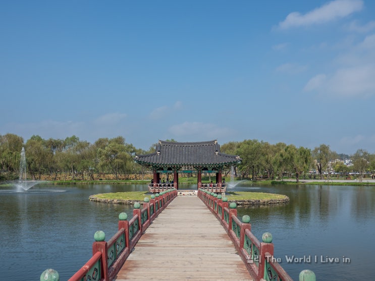 충청도 가볼만한곳 꽃도 보고 산책하기 좋은 부여 궁남지