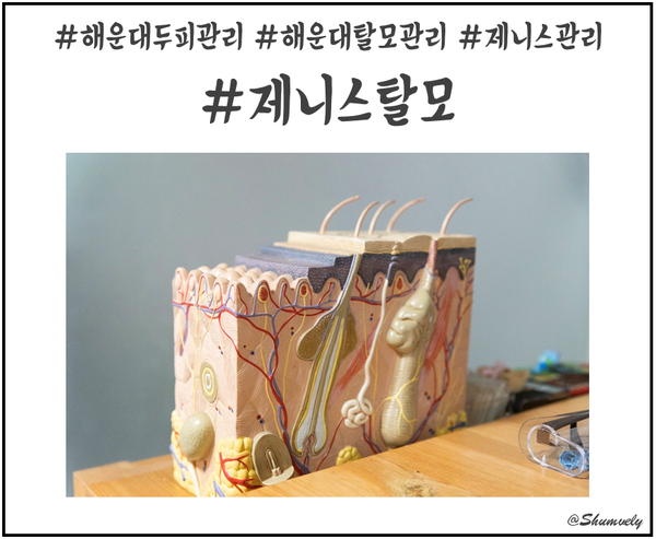  두피는 속부터 관리를 하는 것이다! 해운대 두피관리 센터 제니스탈모