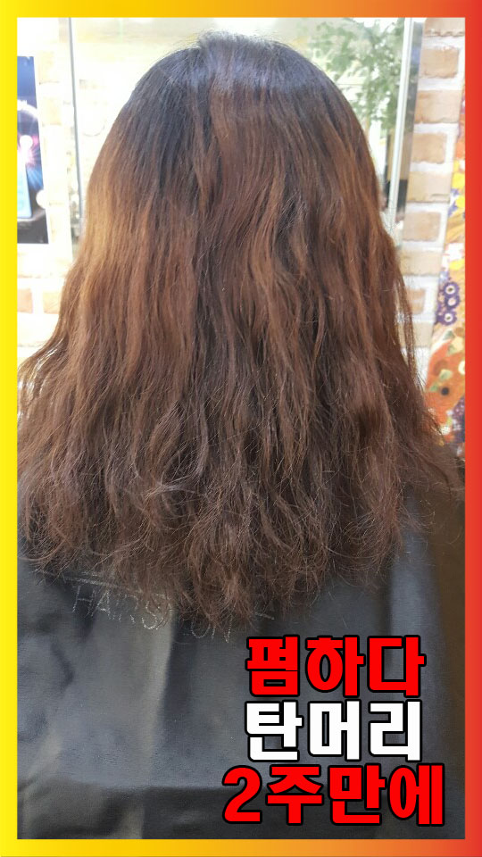  일반펌하다 탄머리 2주만에 인천미용실에서 복구 했어요