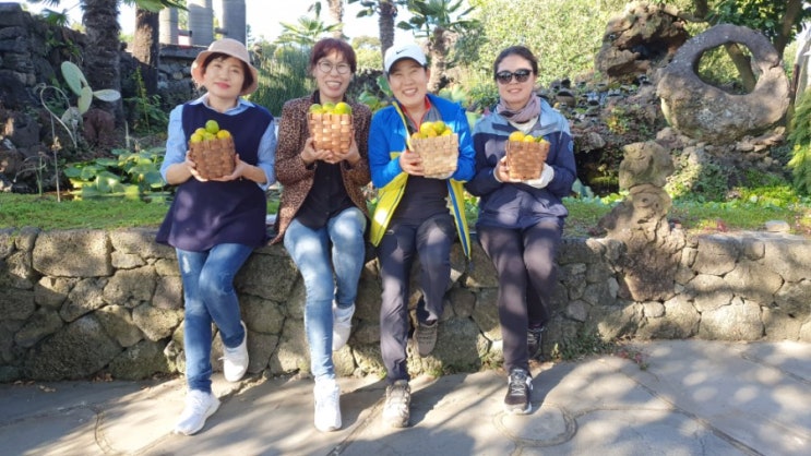  제주 카니발 스타렉스 미소가득한 렌트 기사님 제주도에서 만남!