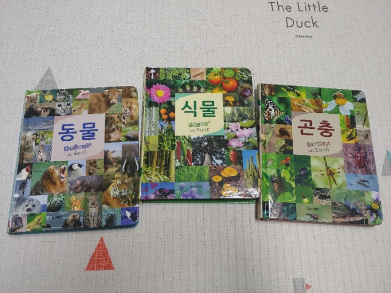 블로그 후기 사진