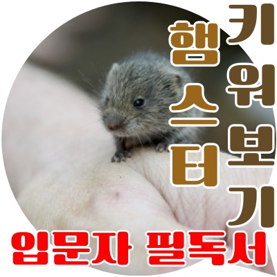  햄스터 키우기 쉬울 거라 생각한다면 오산!